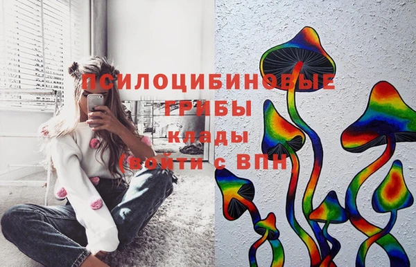 синтетический гашиш Белокуриха